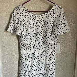 Princess Polly White Dress